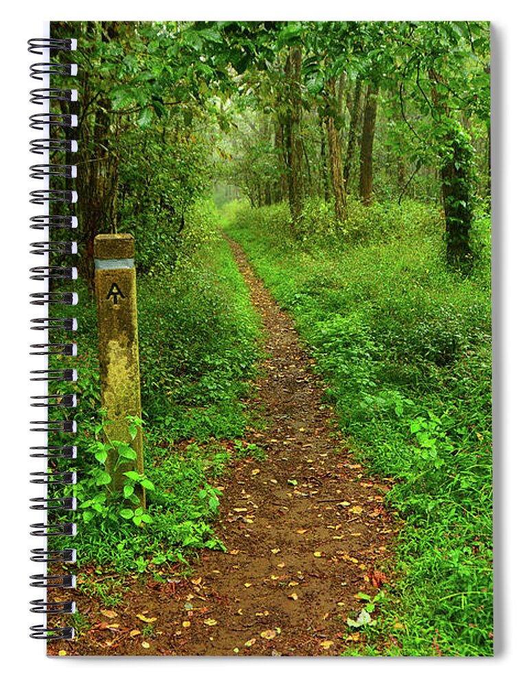 At Shenandoah Green Spiral Notebook featuring the photograph AT Shenandoah Green by Raymond Salani III