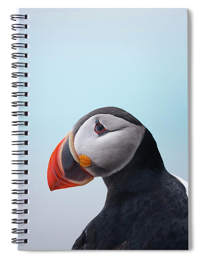 Svalbard Islands Spiral Notebook featuring the photograph Atlantic Puffin, Svalbard, Norway by Paul Souders