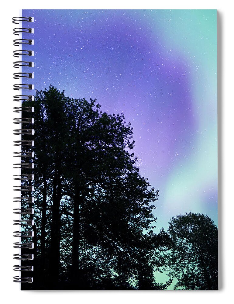 Alaska Spiral Notebook featuring the photograph Aurora with Cottonwood trees by Michele Cornelius