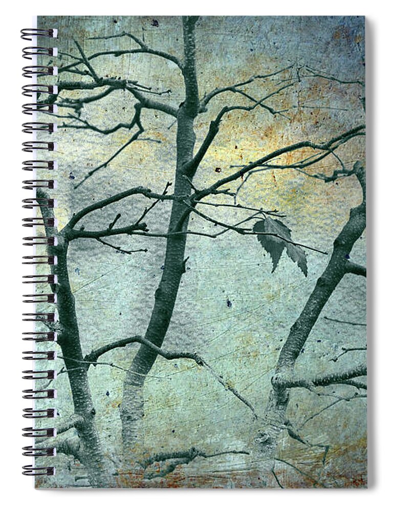 Bonsai Spiral Notebook featuring the photograph It is the Light of Perished Stars by Cynthia Dickinson