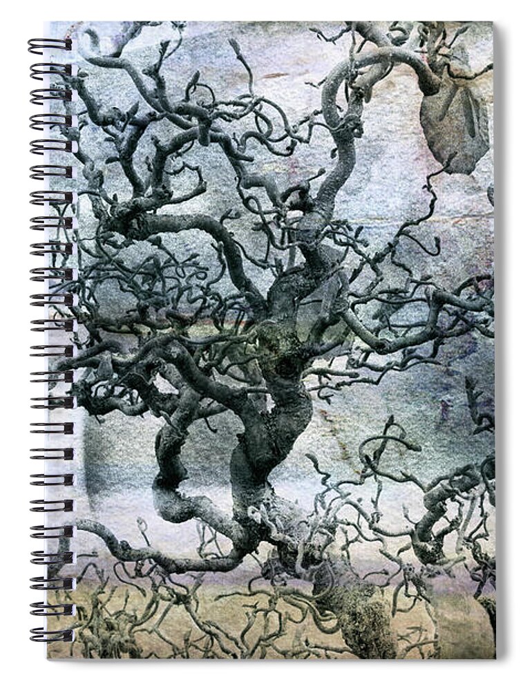 Bonzai Spiral Notebook featuring the photograph It is a Voice by Cynthia Dickinson