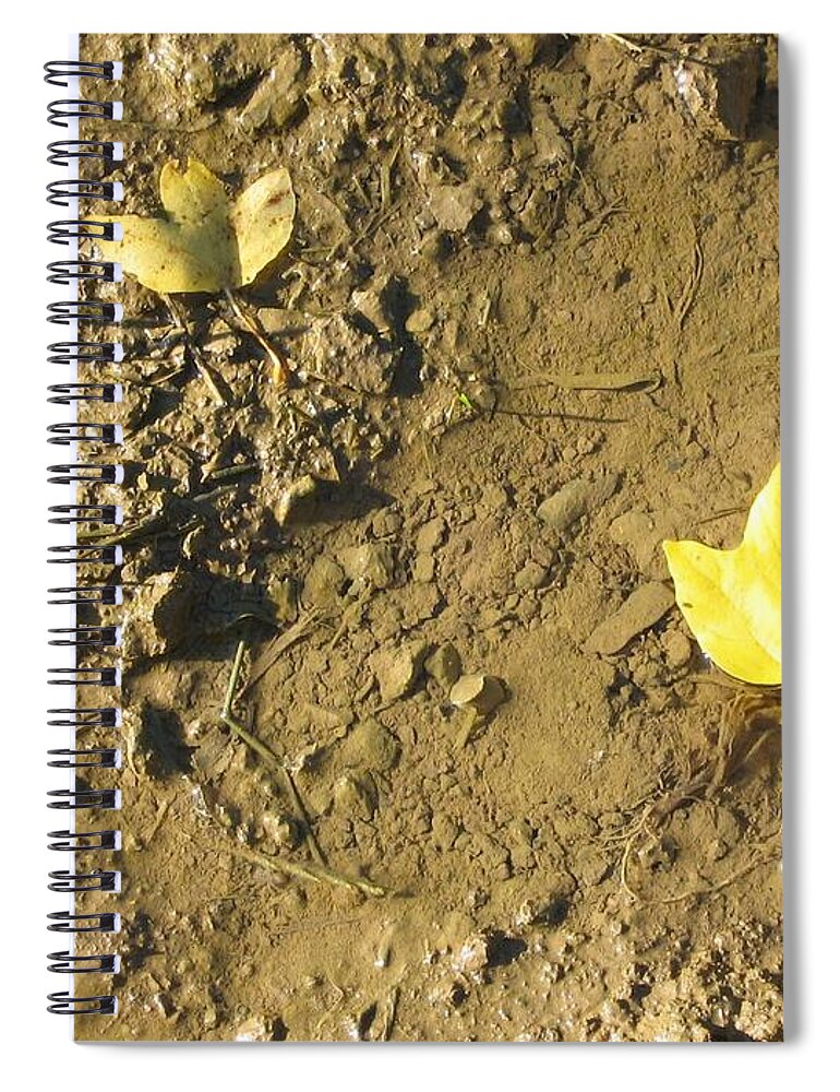 Autumn Spiral Notebook featuring the photograph Autumn by Alexa Szlavics