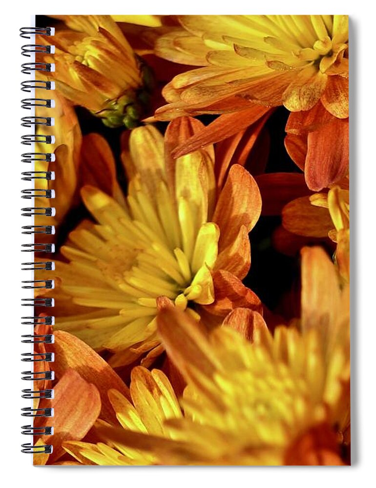 Autumn Spiral Notebook featuring the photograph Autumn Chrysanthemums by Kathy Ozzard Chism