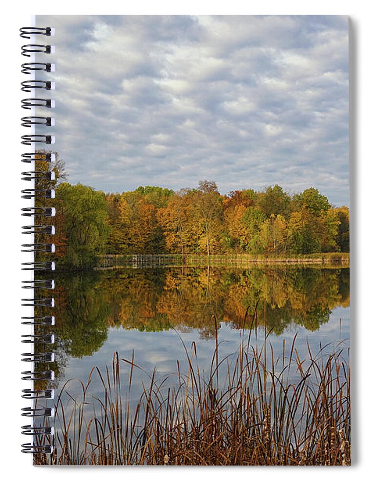 Autumn Clarity Spiral Notebook featuring the photograph Autumn Clarity by Rachel Cohen
