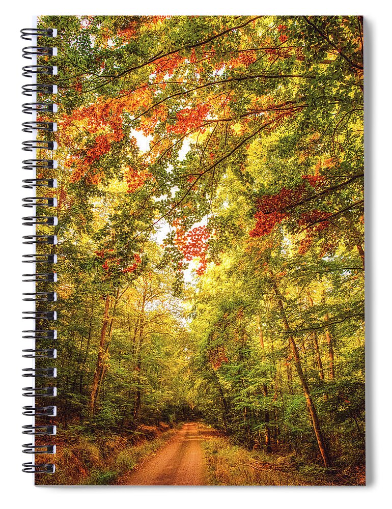 Autumn Spiral Notebook featuring the photograph Autumn Colorful Path by Philippe Sainte-Laudy