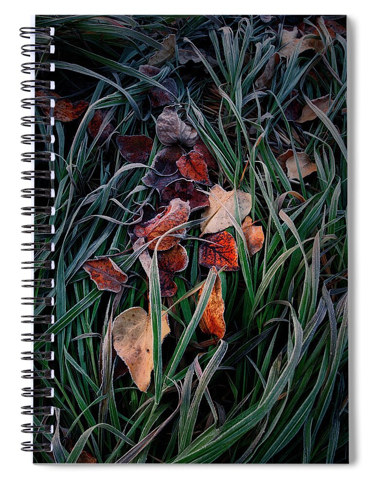 Autumn Leaves Spiral Notebook featuring the photograph Autumn Detail by Dan Jurak