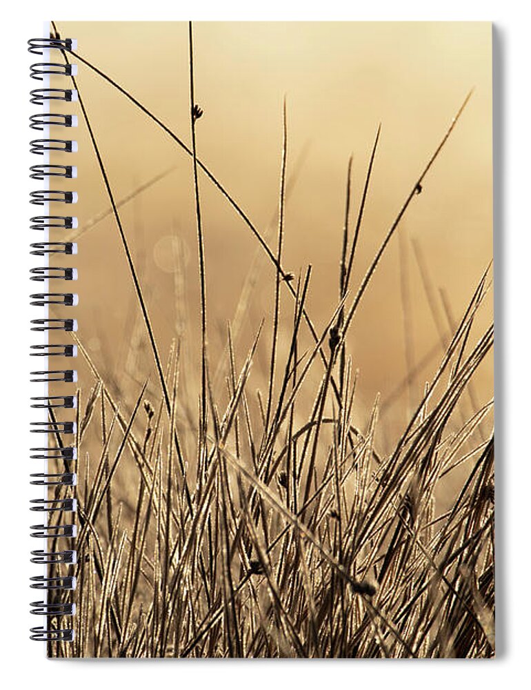 Autumn Spiral Notebook featuring the photograph Autumn Grass in Colorado by Kevin Schwalbe