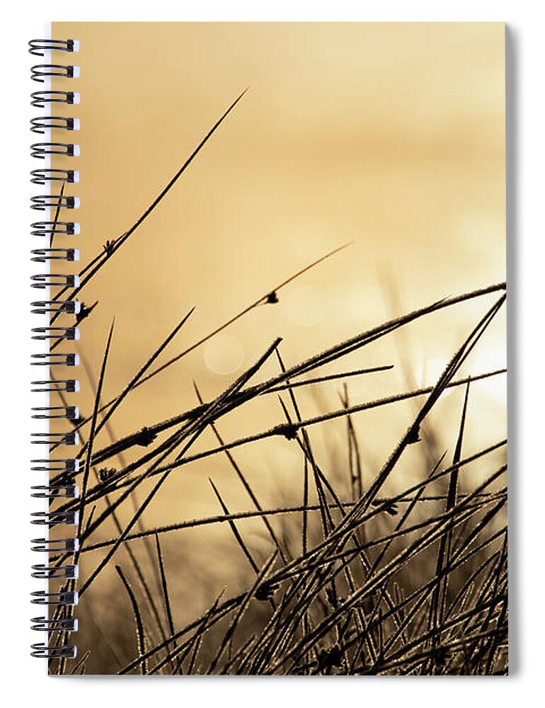 Autumn Spiral Notebook featuring the photograph Autumn Grass by Kevin Schwalbe