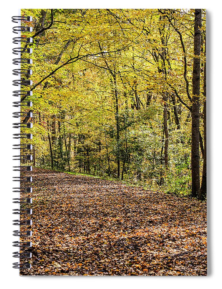 Guest River Gorge Spiral Notebook featuring the photograph Autumn Haze by Dale R Carlson