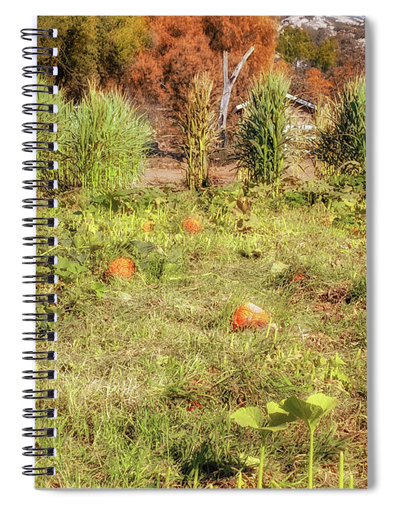 Pumpkin Patch Spiral Notebook featuring the photograph Autumn in the Pumpkin Patch by Alison Frank