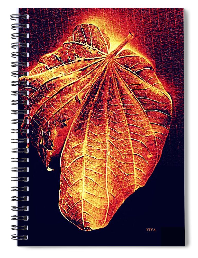 Autumn Spiral Notebook featuring the photograph Autumn Leaf Aglow by VIVA Anderson