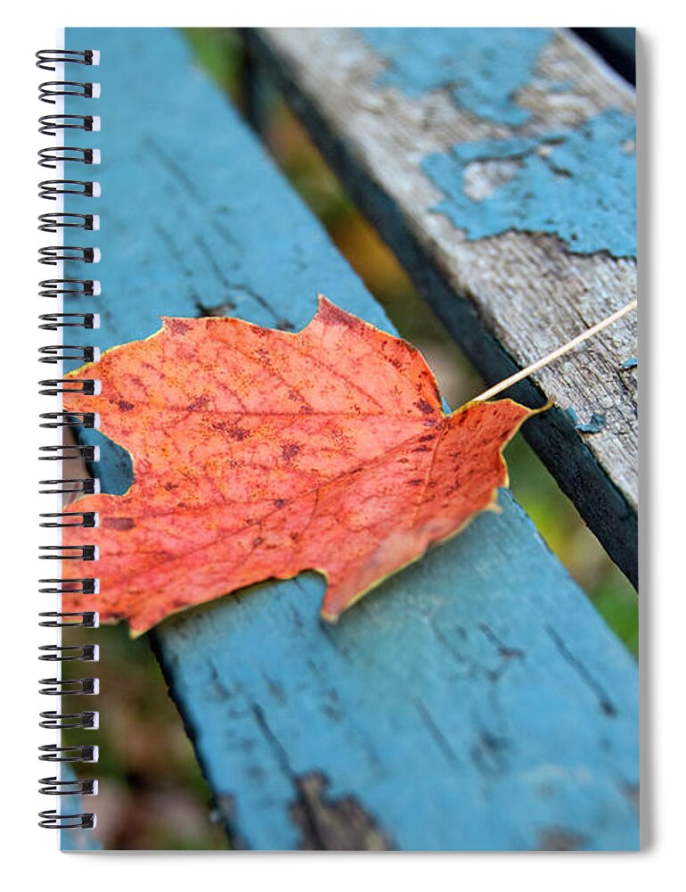 Orange Color Spiral Notebook featuring the photograph Autumn Leave by Frankvandenbergh