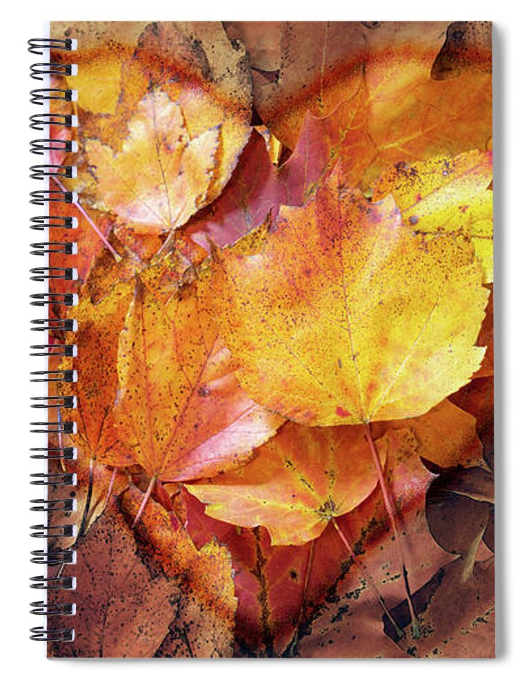 Love Spiral Notebook featuring the digital art Autumn Love by Jason Fink