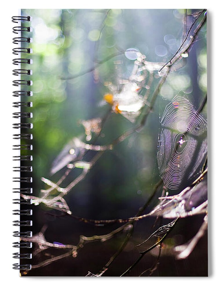 Tranquility Spiral Notebook featuring the photograph Autumn Magical Lit Spiderweb by Heleen Zeegers