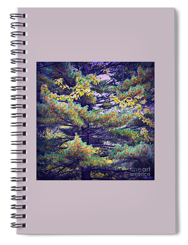 Nature Spiral Notebook featuring the photograph Autumn Pine by Frank J Casella