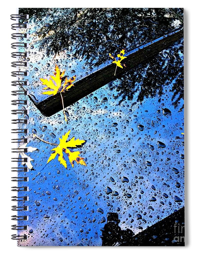 Autumn Spiral Notebook featuring the photograph Autumn Raindrops Car Reflections by Frank J Casella