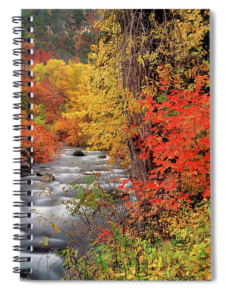 Idaho Scenics Spiral Notebook featuring the photograph Palisades Creek Autumn, East Idaho by Leland D Howard