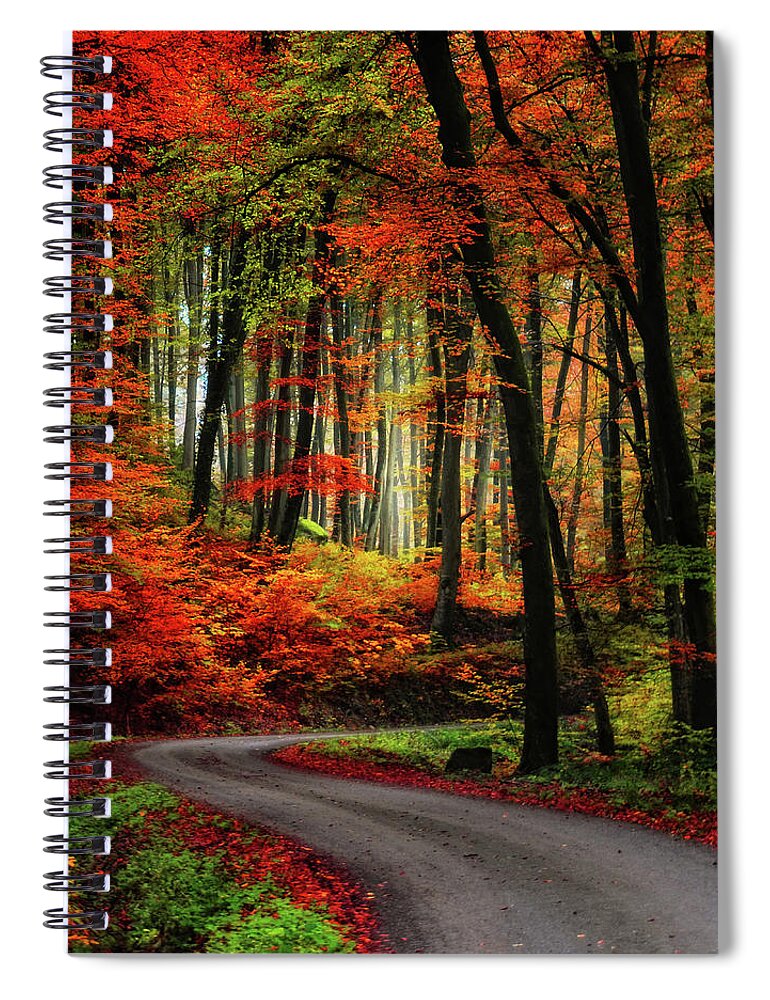Autumn Spiral Notebook featuring the photograph Autumn Road by Philippe Sainte-Laudy