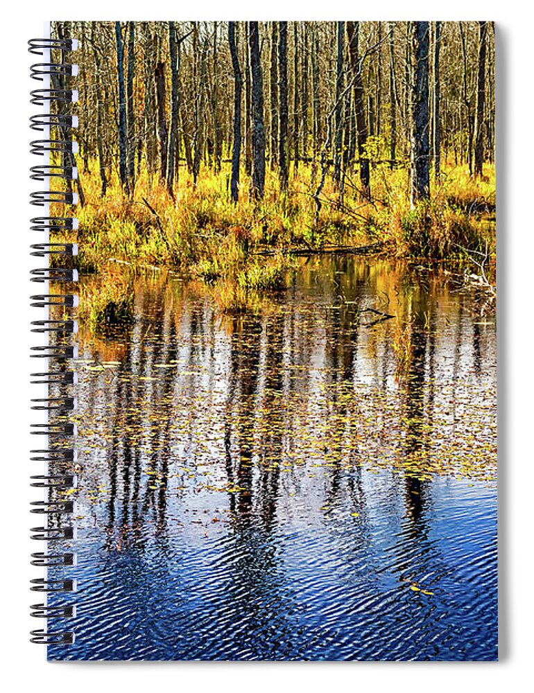 Steve Harrington Spiral Notebook featuring the photograph Autumn Slough 4 by Steve Harrington