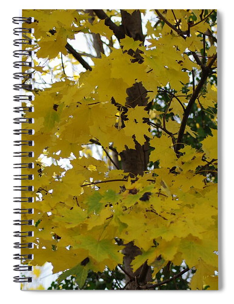  Spiral Notebook featuring the photograph Autumn Transition 192 by Ee Photography
