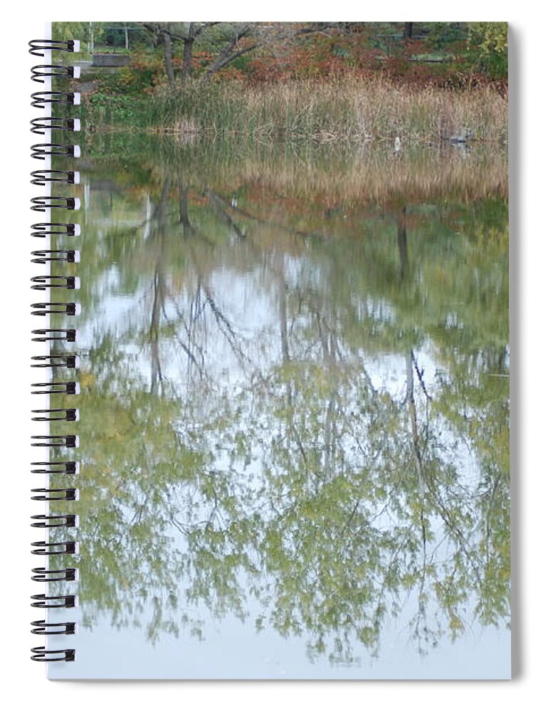  Spiral Notebook featuring the photograph Autumn Transition 95 by Ee Photography