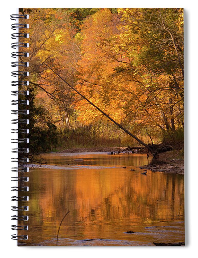 Outdoors Spiral Notebook featuring the photograph Autumn Trees by Lynda Murtha