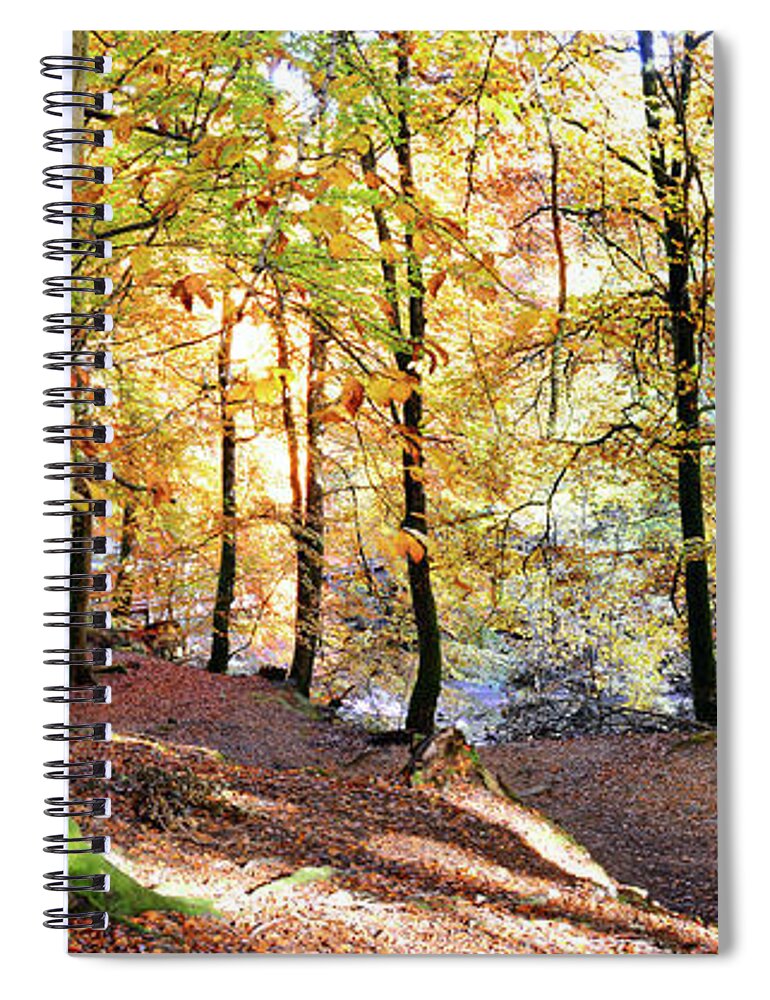 Tranquility Spiral Notebook featuring the photograph Autumn Woodland, Aberfeldy by Kathy Collins