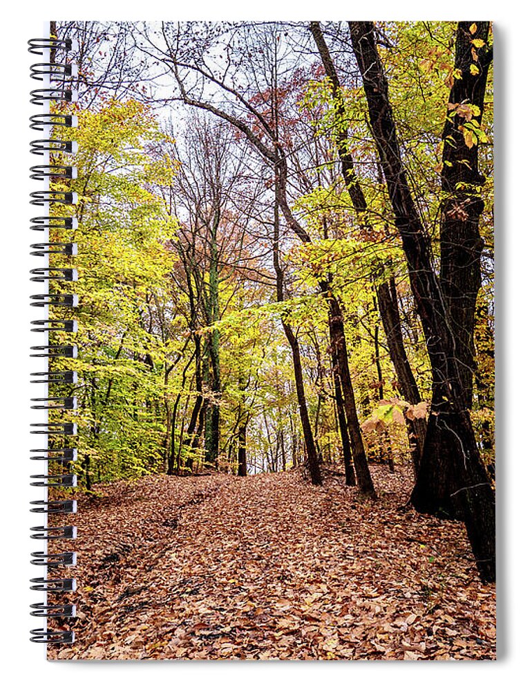 Fall Spiral Notebook featuring the photograph Autumn Woods by Louis Dallara