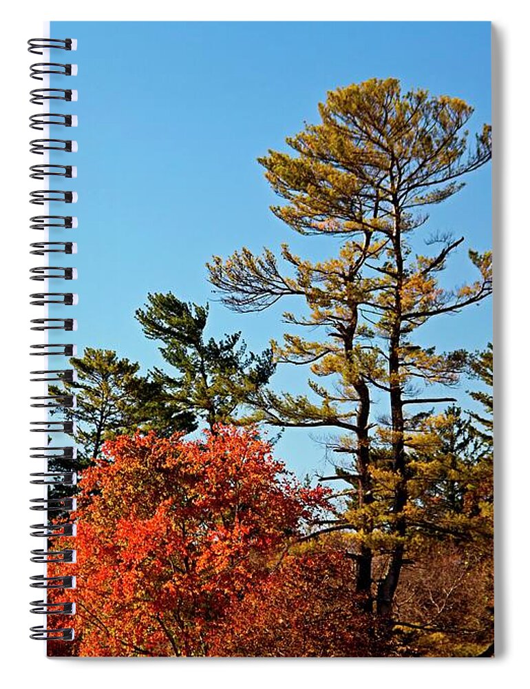 Autumn Spiral Notebook featuring the photograph Autumn Now by Allen Nice-Webb