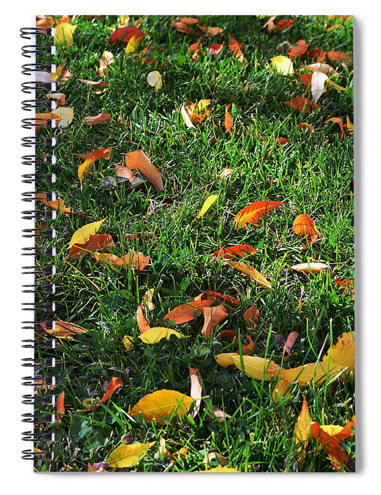 Grass Spiral Notebook featuring the photograph Autumn's Confetti by Kae Cheatham