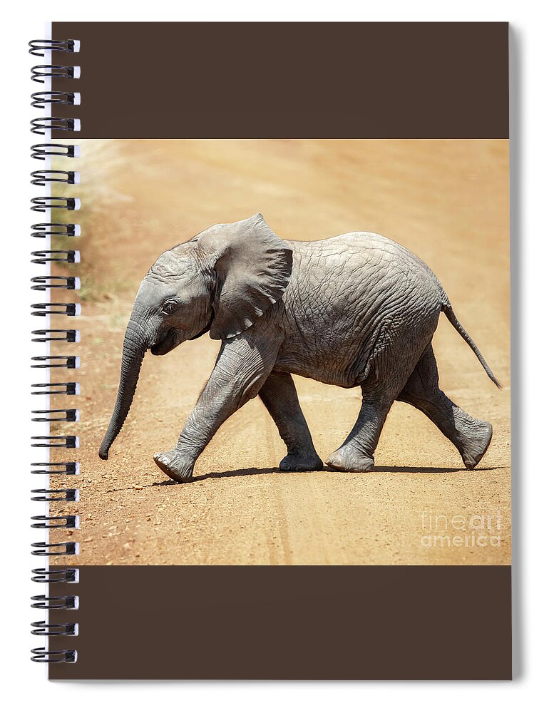 Baby Spiral Notebook featuring the photograph Baby African elephant by Jane Rix