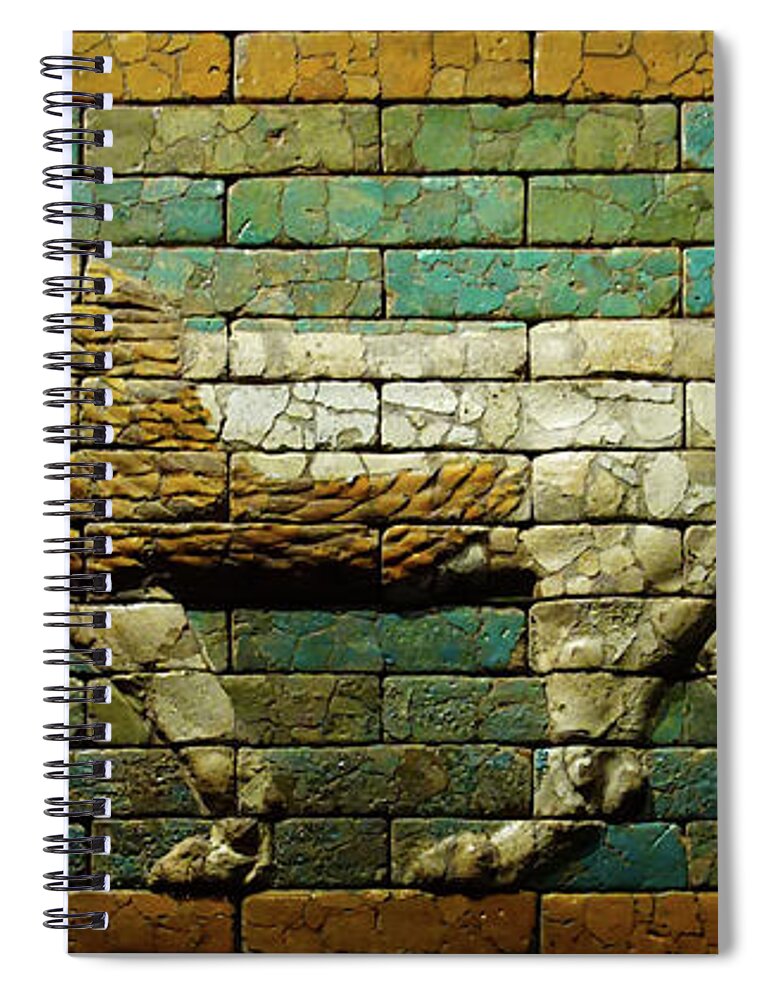 Babylonian Spiral Notebook featuring the photograph Babylonian wall tiles of lion by Steve Estvanik