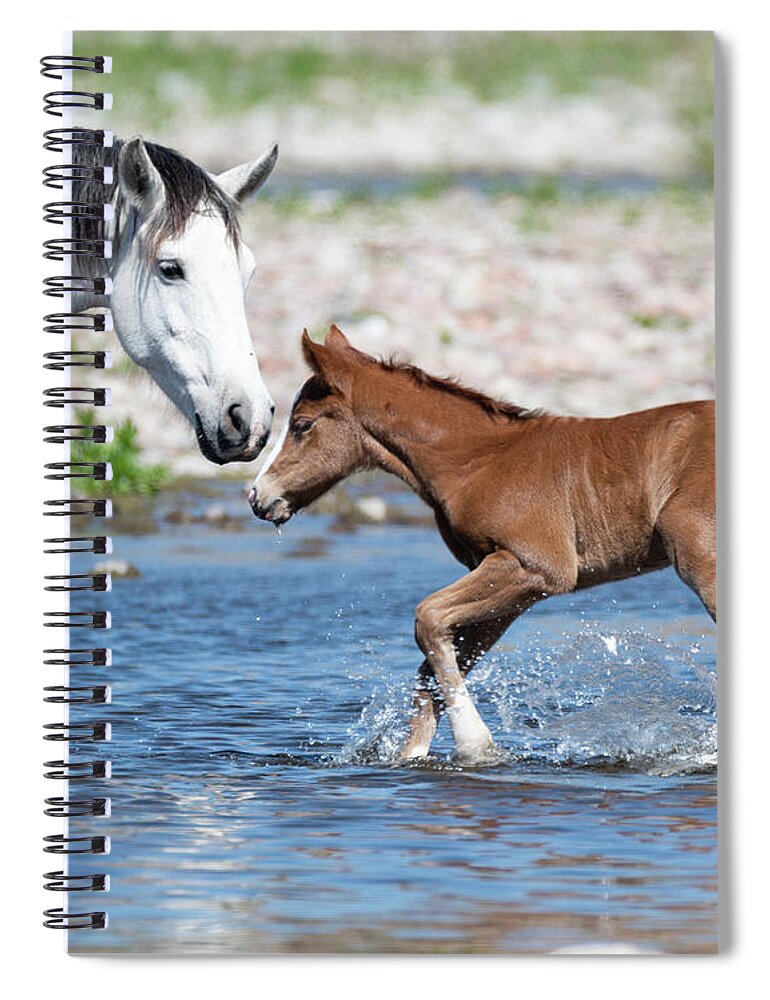 Wild Horses Spiral Notebook featuring the photograph Baby's first river trip by Mary Hone