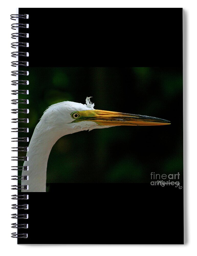 Nature Spiral Notebook featuring the photograph Bad Hair Day? by Mariarosa Rockefeller