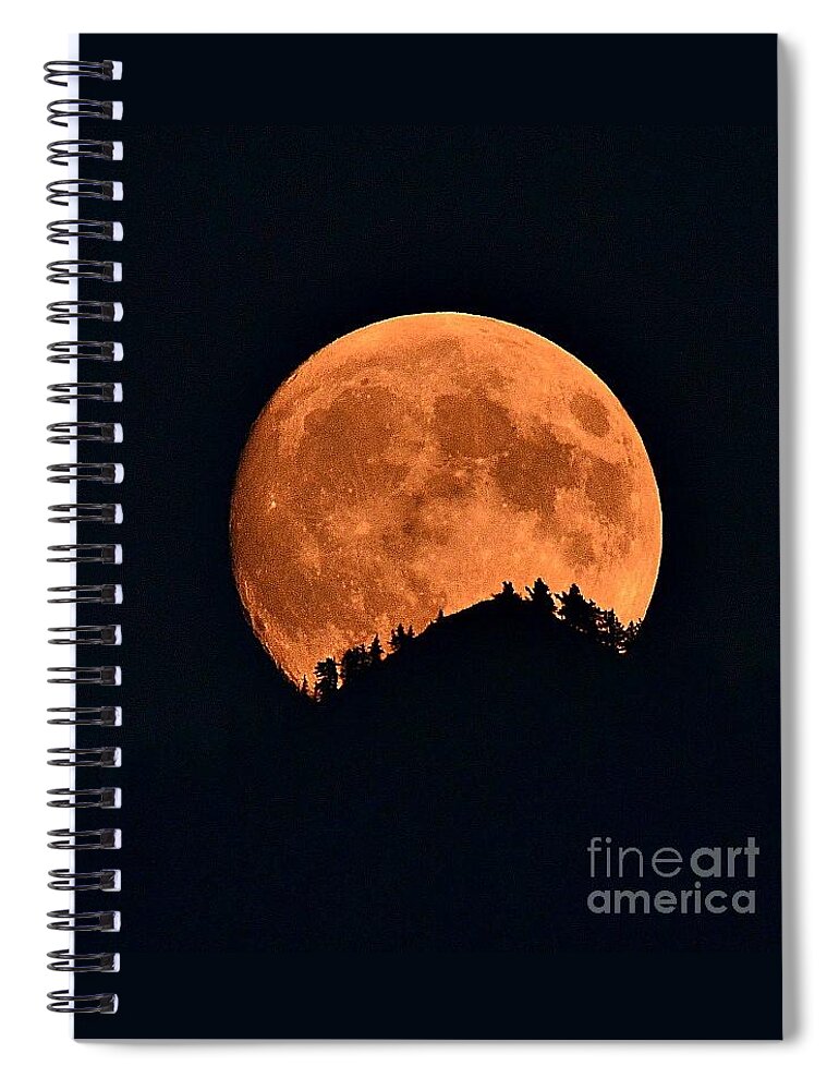 Full Moon Spiral Notebook featuring the photograph Bad Moon Rising by Dorrene BrownButterfield