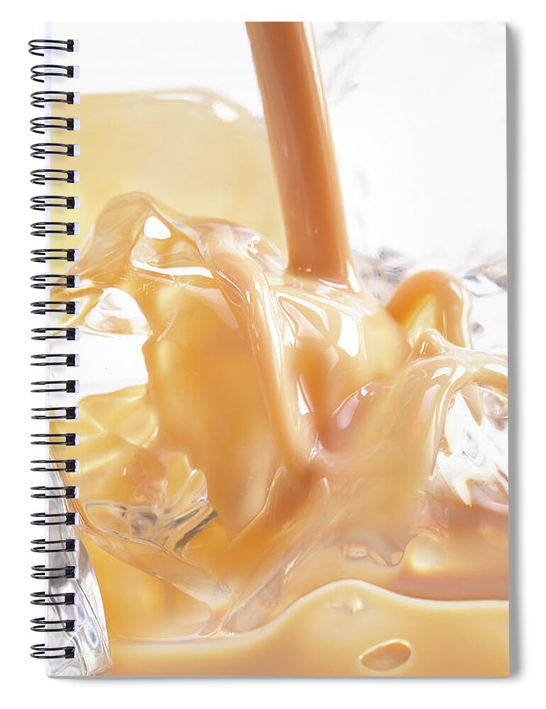 Alcohol Spiral Notebook featuring the photograph Bailey On Ice by Jeremy Hudson