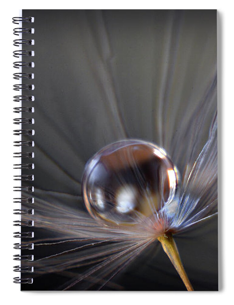 Macro Photograph Spiral Notebook featuring the photograph Balanced by Michelle Wermuth