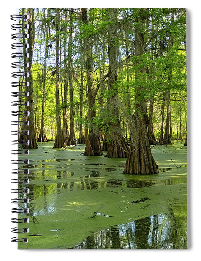 America Spiral Notebook featuring the photograph Bald cypresses at Lake Martin, Louisiana by Patricia Hofmeester