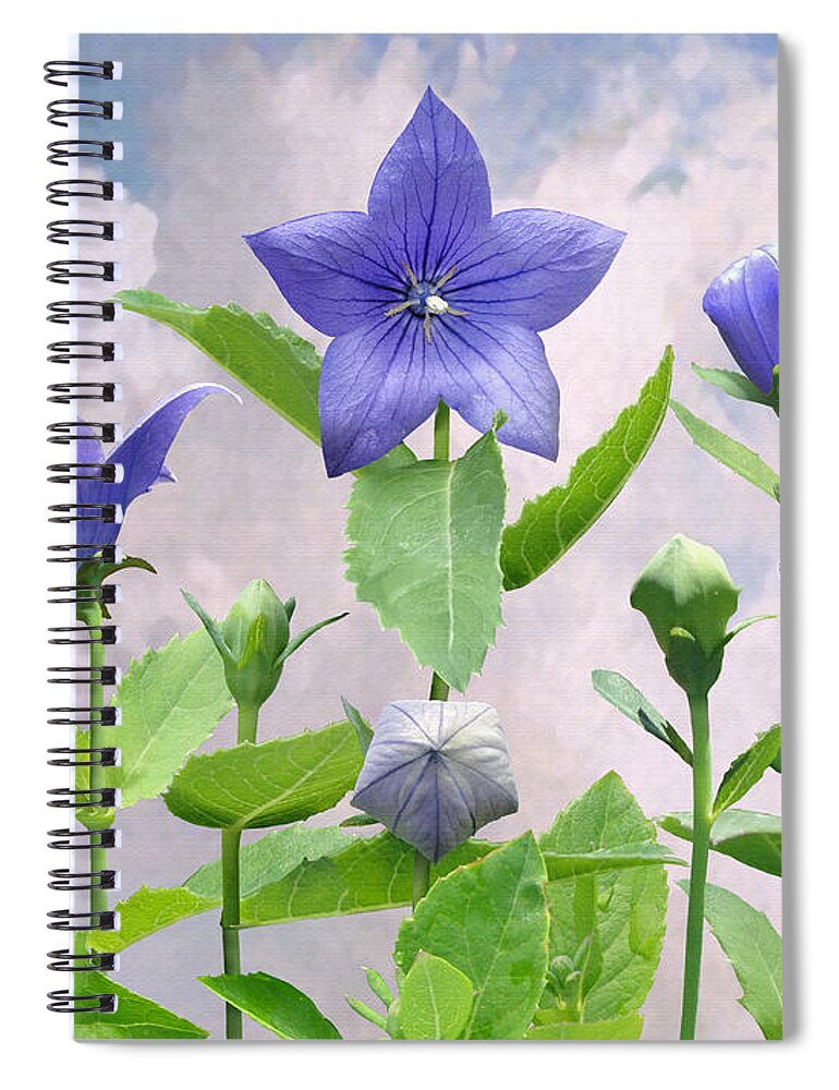 Flowers Spiral Notebook featuring the digital art Balloon Flowers and Green Lizard, by M Spadecaller