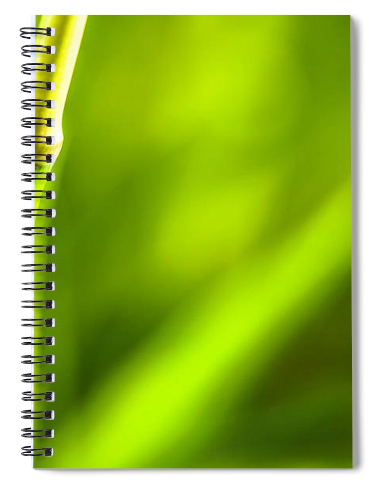 Tropical Rainforest Spiral Notebook featuring the photograph Bamboo Leaves On Natural Background by Apomares