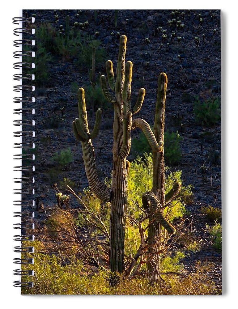 Arizona Spiral Notebook featuring the photograph Battling Beauties 2 by Judy Kennedy