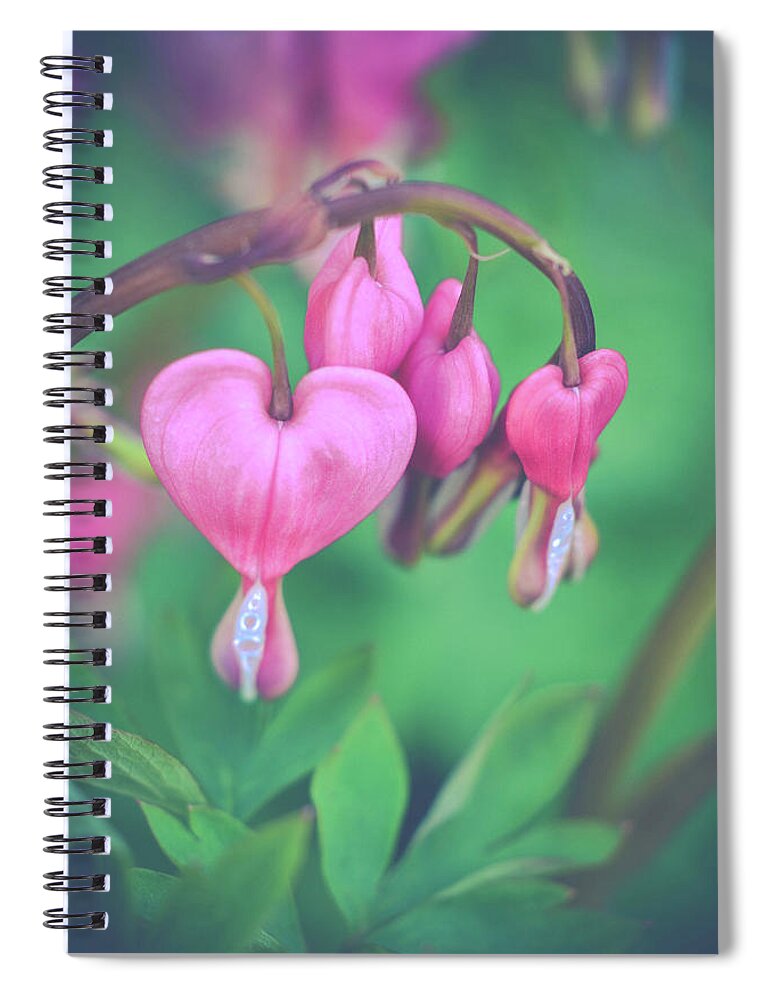Bleeding Hearts Photograph Spiral Notebook featuring the photograph Be Mine by Michelle Wermuth