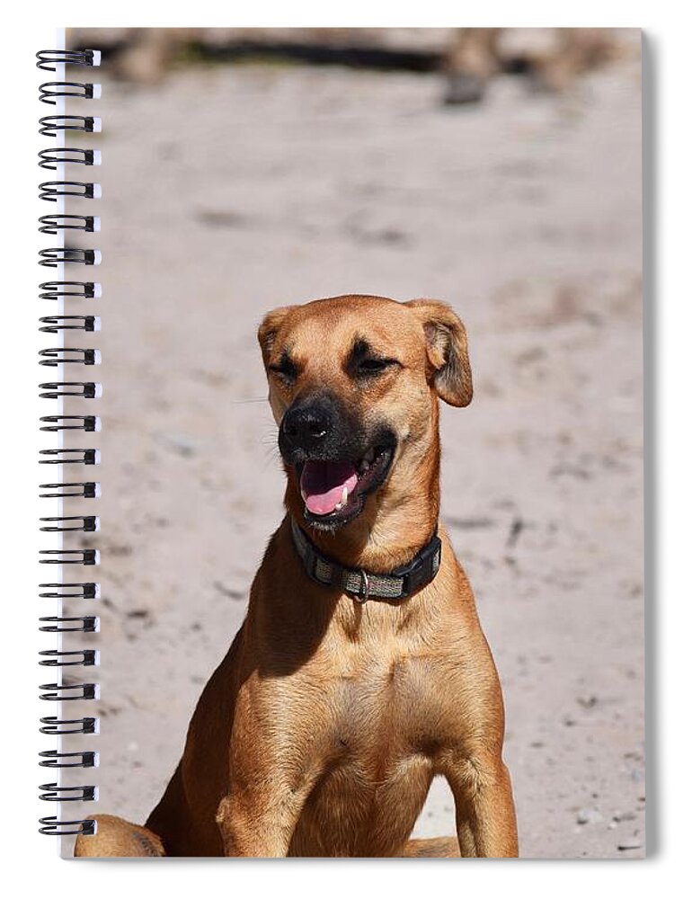 Beach Bums Spiral Notebook featuring the photograph Beach Bums on Guard by Debra Grace Addison