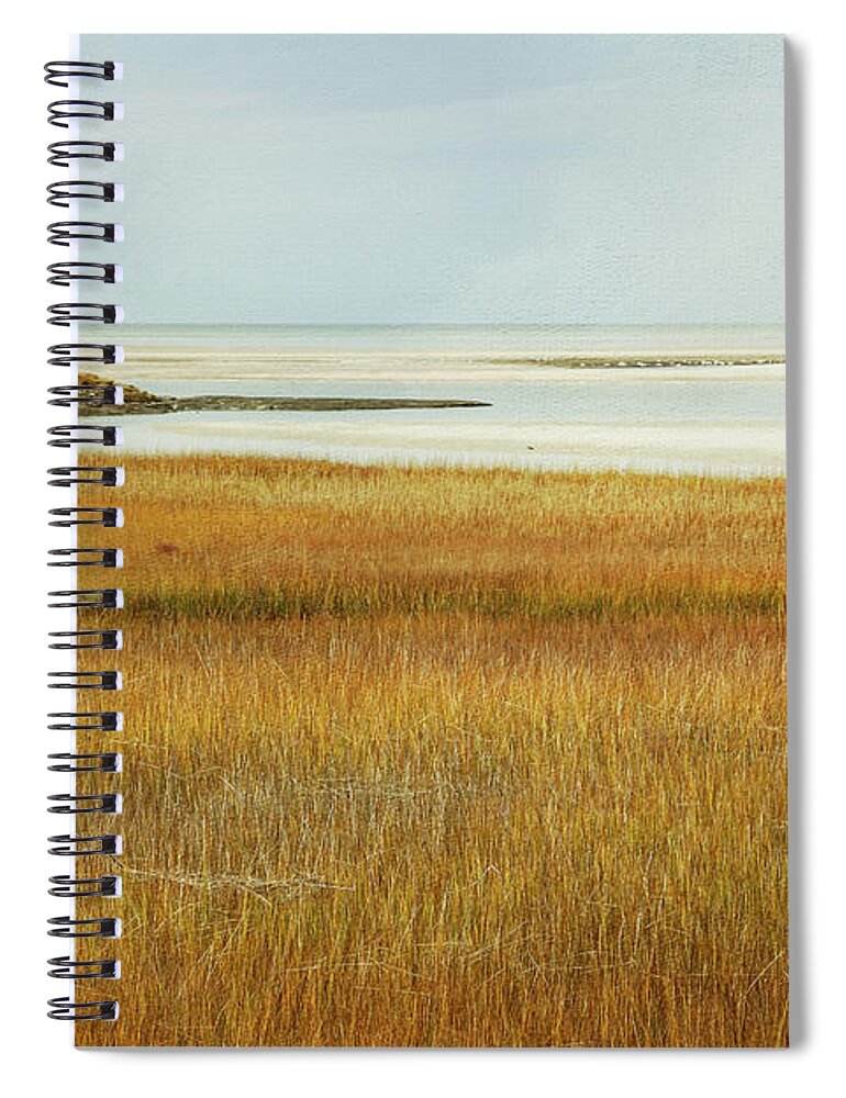 Beach Spiral Notebook featuring the photograph Beach Marsh by JBK Photo Art