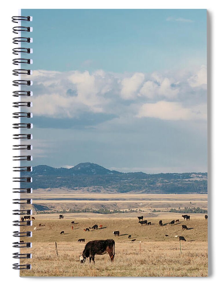 Bear Paw Mountains Spiral Notebook featuring the photograph Bear Paw Herd by Todd Klassy