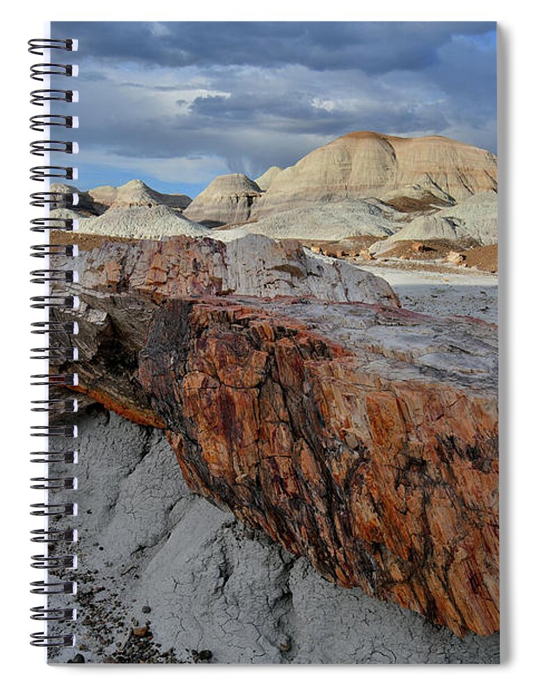 Petrified Forest National Park Spiral Notebook featuring the photograph Beautiful Blue Mesa Petrified Wood by Ray Mathis