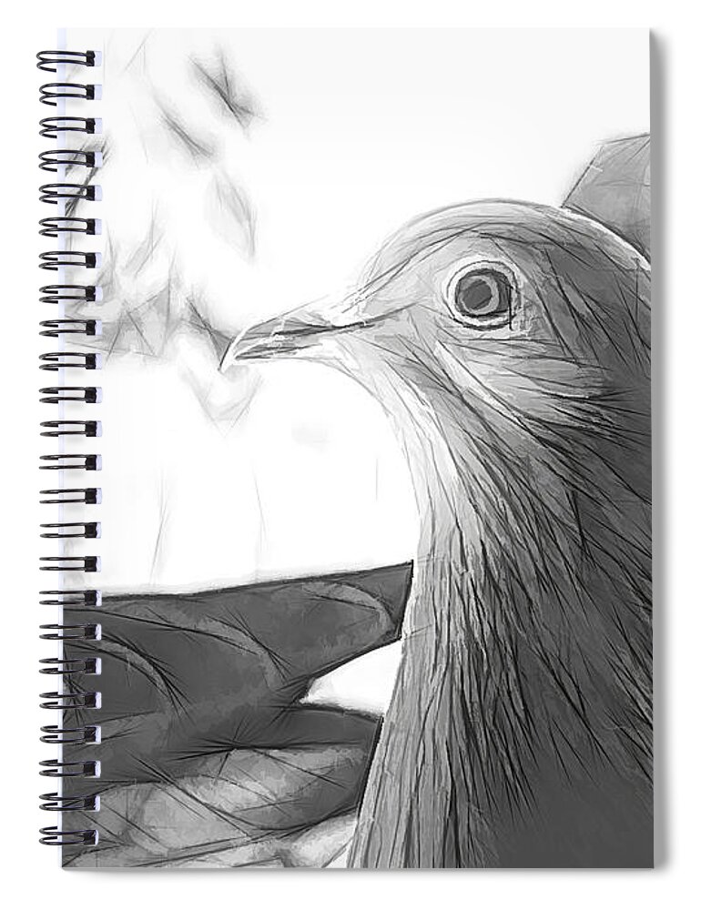Pigeon Spiral Notebook featuring the photograph Beautiful Homing Pigeon Sketch by Don Northup