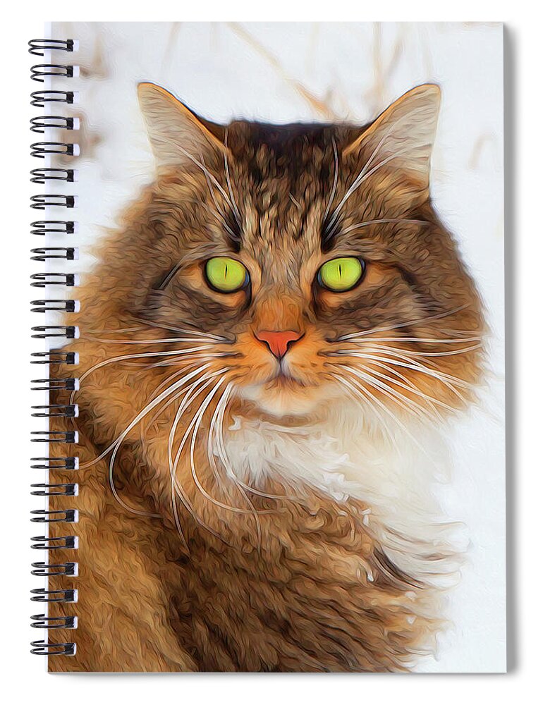 Portrait Spiral Notebook featuring the photograph Beautiful Hunter The Cat by Theresa Tahara