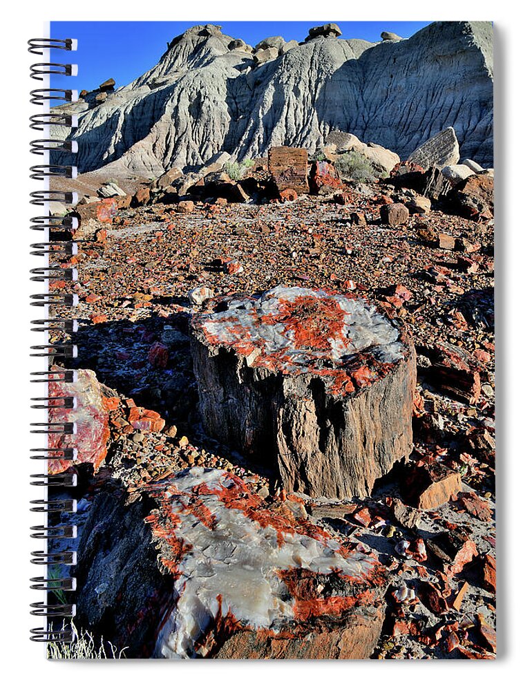 Petrified Forest National Park Spiral Notebook featuring the photograph Beautiful Stumps of Petrified Wood in Jasper Forest by Ray Mathis