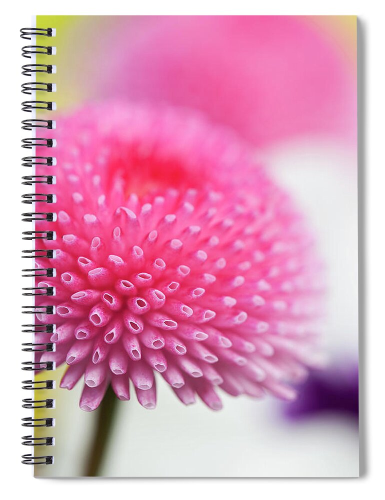 Outdoors Spiral Notebook featuring the photograph Beauty In Nature by Andrew Dernie